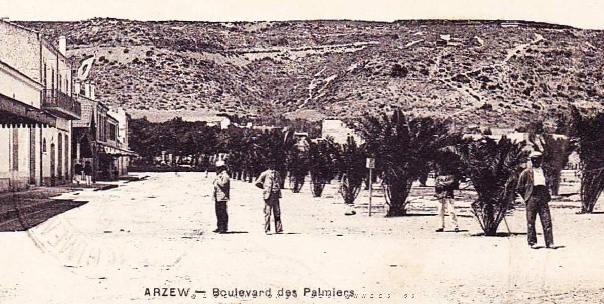 918- Arzew - Bd des Palmiers2.jpg